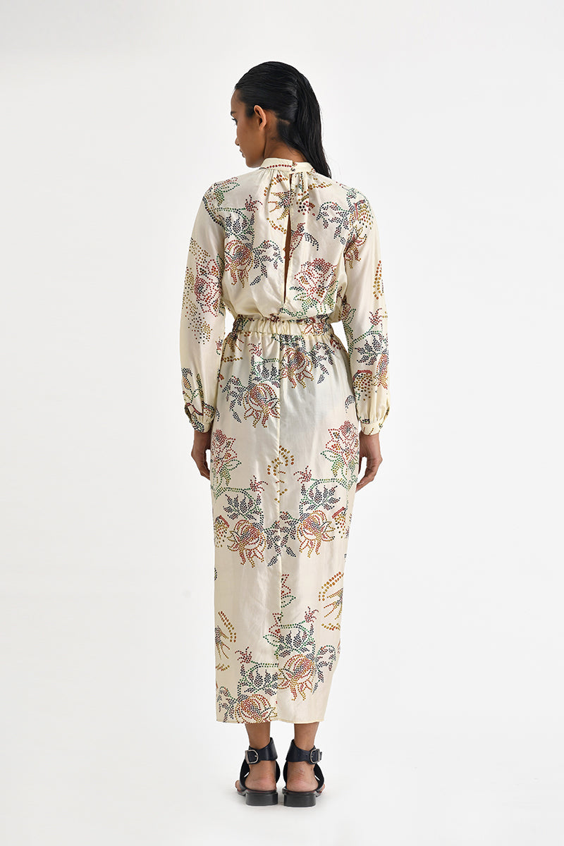 Chionato Printed Dress